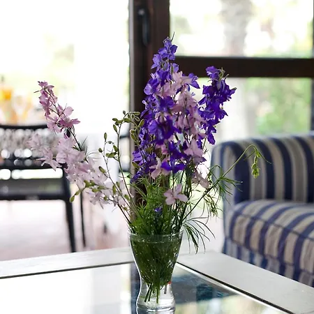 Holiday home Marina D'or Iv, Casa 5 Cala d'Or (Mallorca)